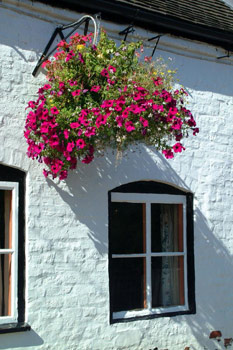 hanging basket, a welcome to swiss-algebra-help.com